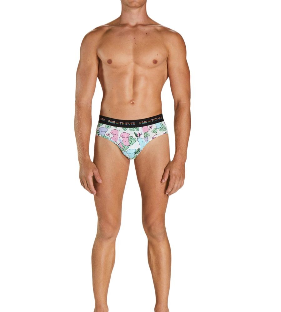 Underwear Pair of Thieves | Superfit Brief - Pride